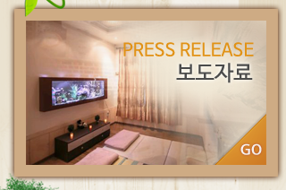 보도자료